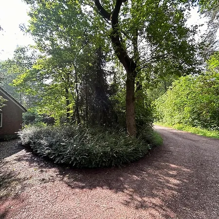 In Near Forest And Golf, Cleaning Included *